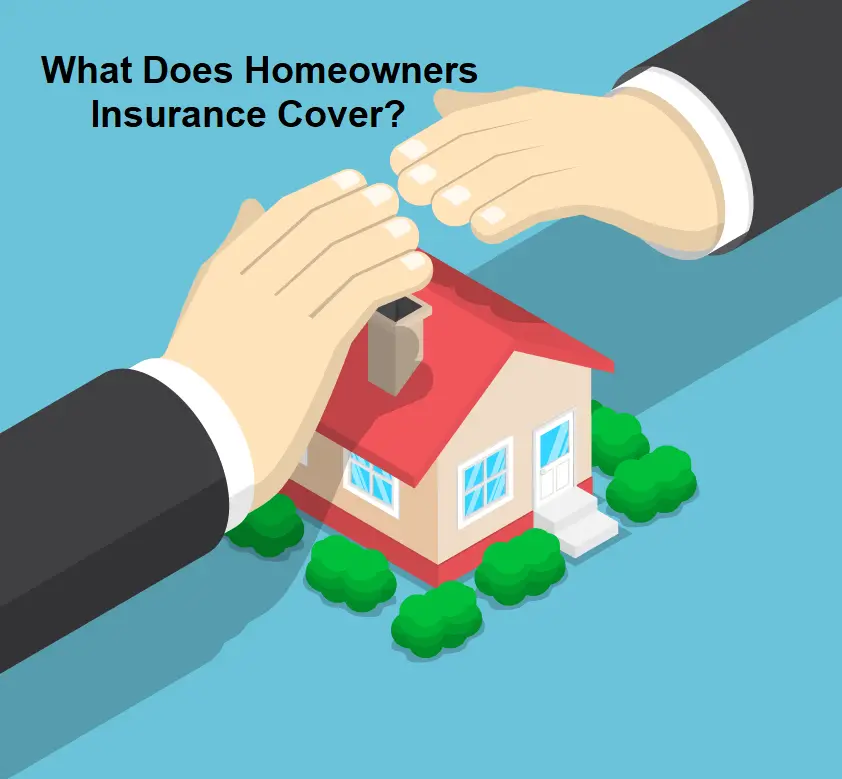 Insurance